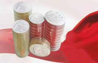 实验室菌种传代的规范流程：从“菌种”到“工作菌株”